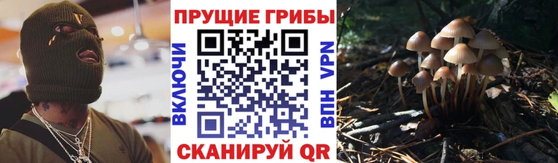 где найти   мега ссылки  Псилоцибиновые грибы Psilocybe  Игра 